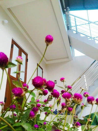 Others 5, Homestay Moc Chau, Mộc Châu