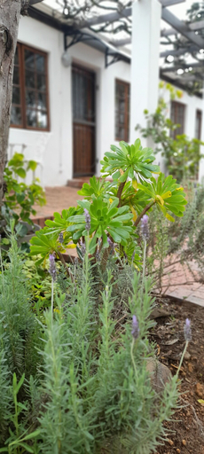 Exterior & Views, The High Street Accommodation, City of Cape Town