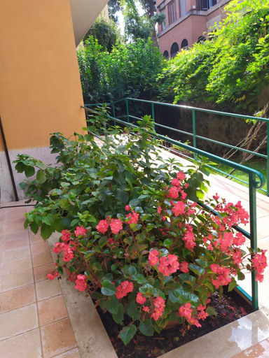 Others 5, Angolo sul Giardino, Rome