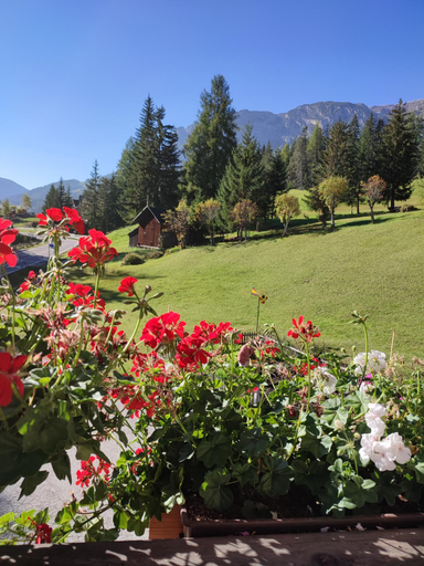 Others 4, Apartments B&B Pretermo, Bolzano