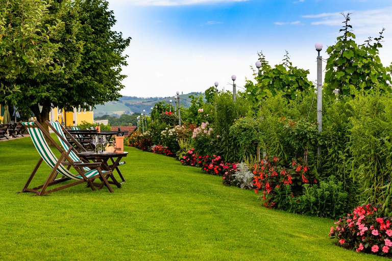 Food & Drinks 5, Weinquartier Pichler-Schober, Leibnitz