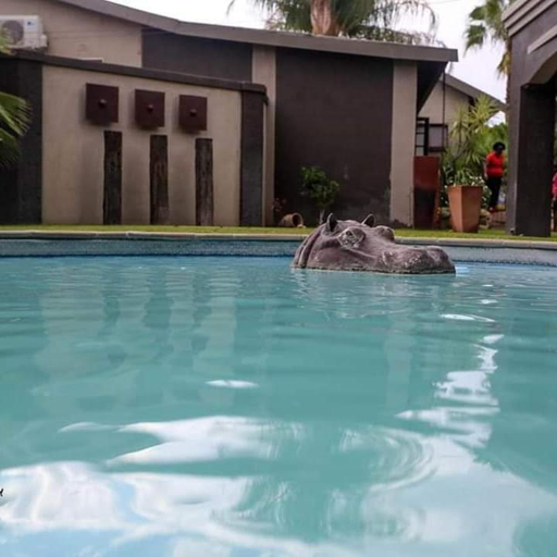 Others 2, AFRICAN DREAMS GUESTHOUSE, Okahandja