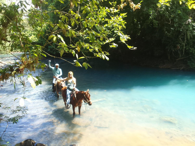 Others 5, Cabinas Rio Frio, Guatuso