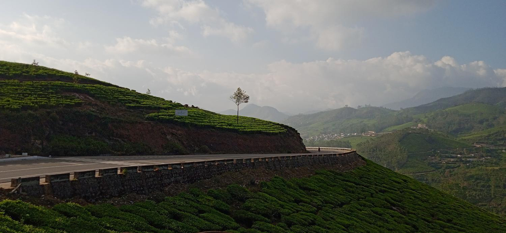 Surrounding environment 2, Maliyeckal Homestay, Idukki