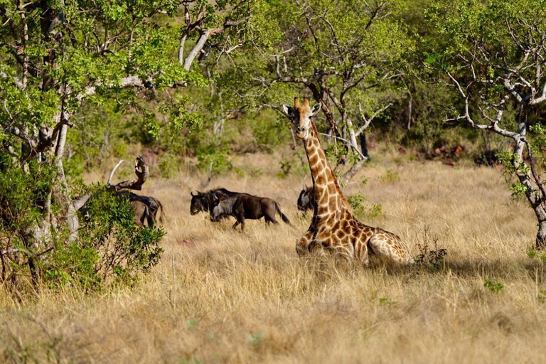 Others 3, Waterberg Game Lodge, Waterberg
