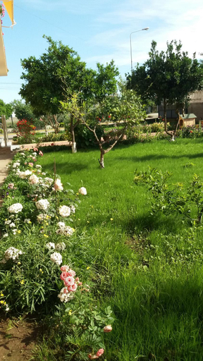 Others 5, Guesthouse Fatos Biti, Lushnjës