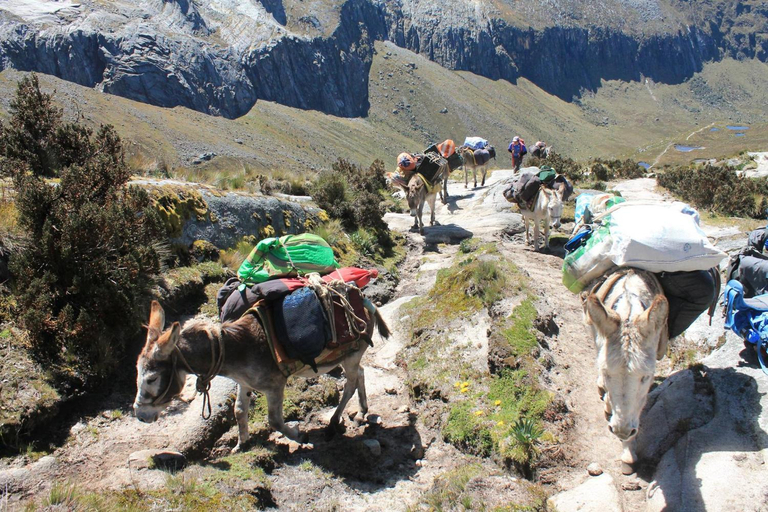 Others 4, Vacahouse Hostels B&B, Huaraz