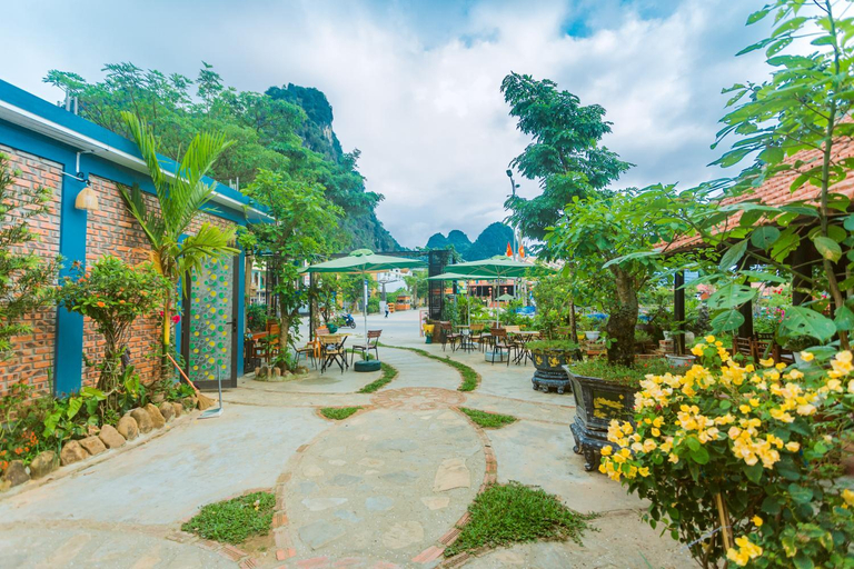 Food & Drinks 3, Phong Nha Green Homestay, Bố Trạch