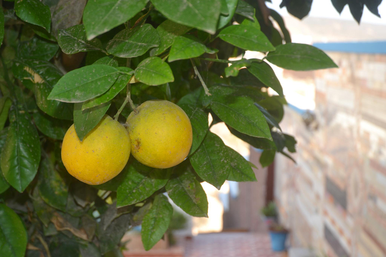 Food & Drinks, The Sunrise Villa, Agadir-Ida ou Tanane