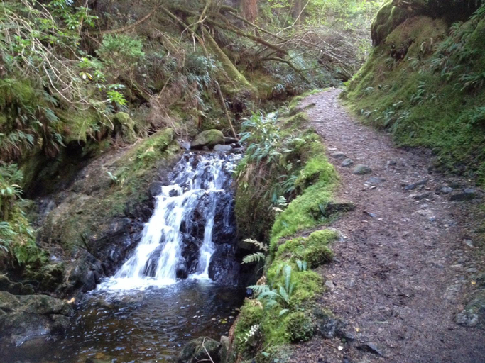 Others 4, Pucks Glen Lodges - Log Cabins in a wonderful natural environment, Argyll and Bute