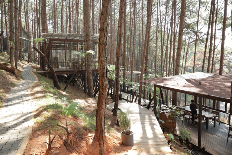 Food & Drinks 4, Mơ Stay Forest Resort, Đà Lạt