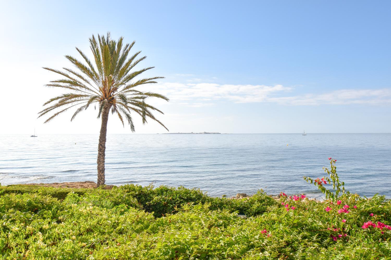 Others 4, Vicino al mare, Alicante