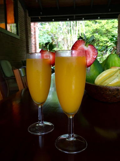 Food & Drinks 3, El Yunque Rainforest Inn
