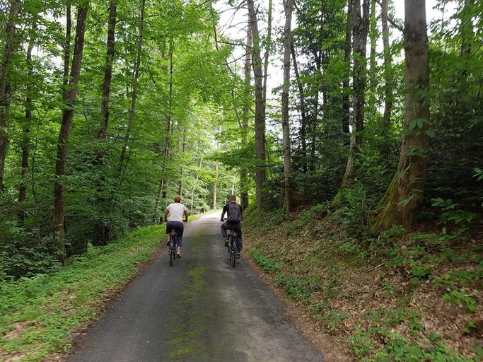 Others 5, Le Bois du Four, Allier