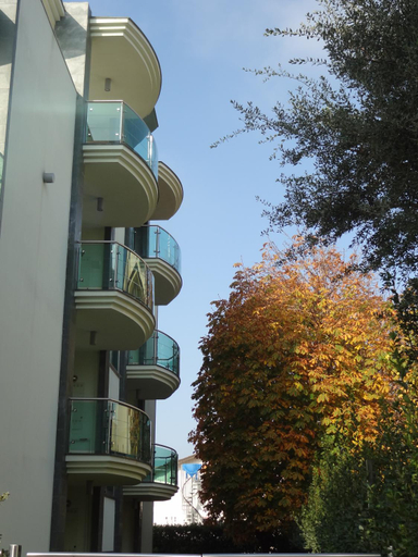 Others 4, Residenza Villa Flores, Rimini