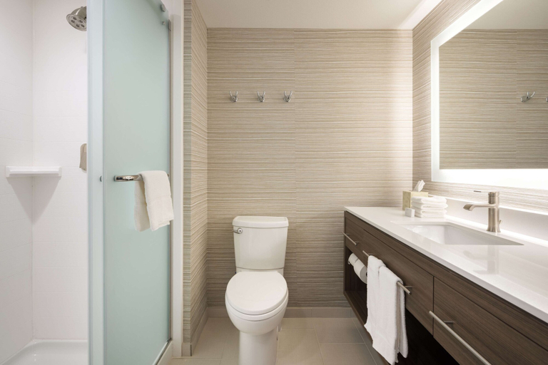Bathroom 4, Hampton Inn Clovis,NM, Curry