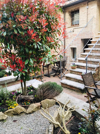 Others 4, Bed & Breakfast Montepulciano, Siena
