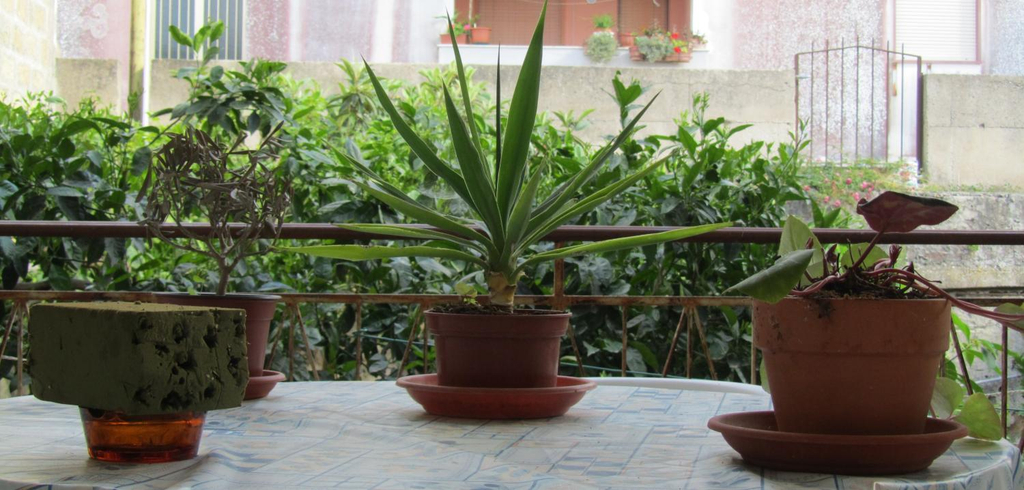 Others 4, Bed & Breakfast Alice, Trapani
