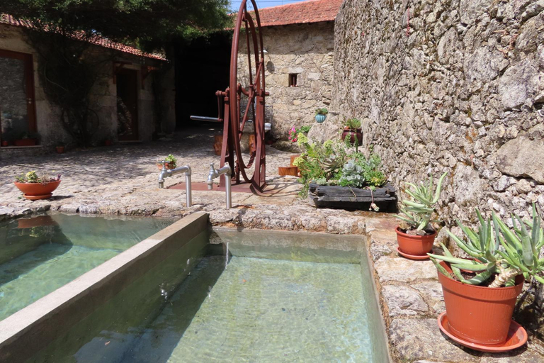 Others 5, Casa Ventura, Oliveira de Azeméis