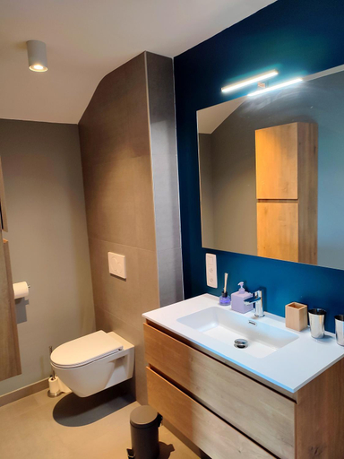 Bathroom, Housedurbuy 2, Luxembourg