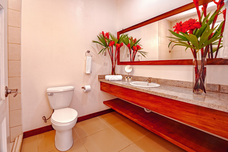 Bathroom 4, Hotel Villa Florencia, Turrialba