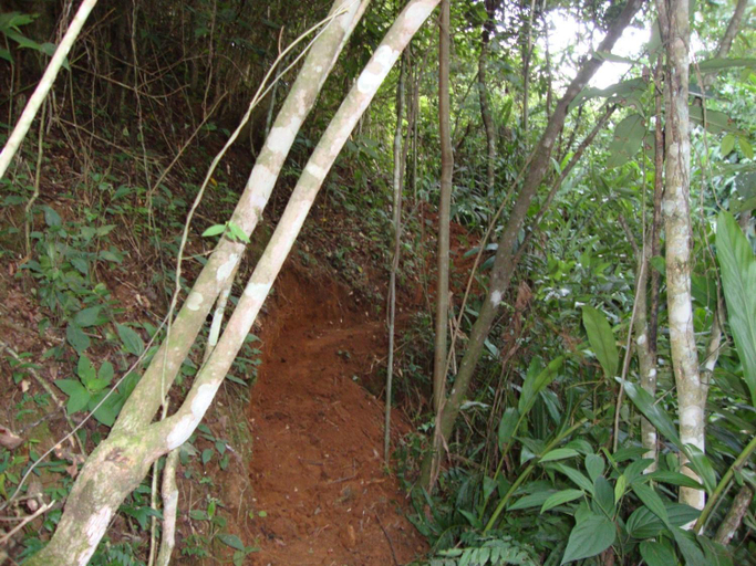 Others 3, Sitio Monte Moria Pousada, Santo Antônio do Pinhal