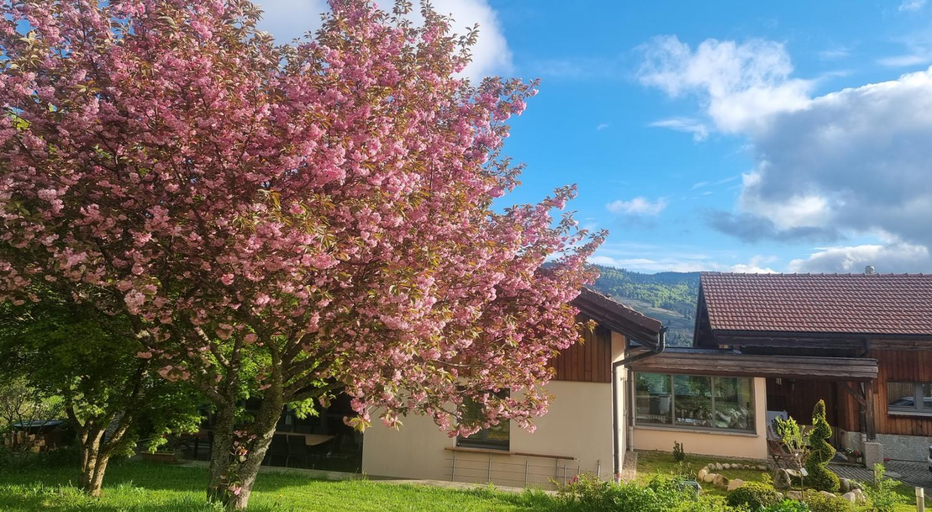 Others 5, Chalet Terejo & spa, Vosges