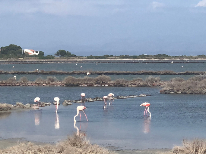 Ecotours, Le Saline amazing apartment with seaview, Carbonia-Iglesias
