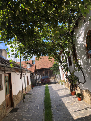 Others 2, Facilitati cazare Raluca, Bunesti