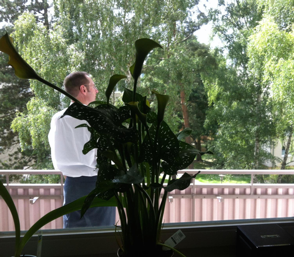 Others 4, ask rooms Privatzimmer in Kassel, Kassel