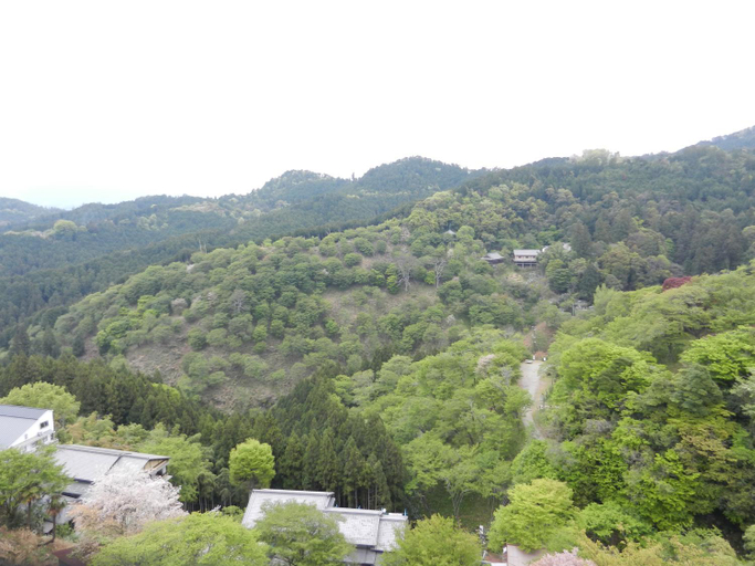 Others 5, Scenic Inn HOUNKAN, Yoshino