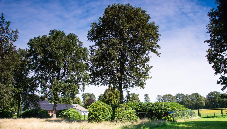 Others 5, Bed and Breakfast Lindershoeve Bergeijk, Bergeijk