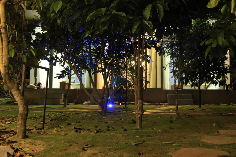 Scenery 10