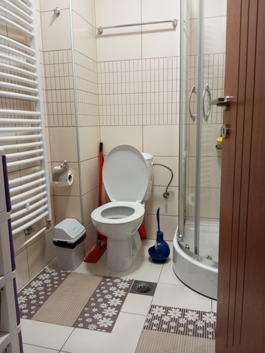 Bathroom 2, Apartman Radmanovac, Vrnjačka Banja