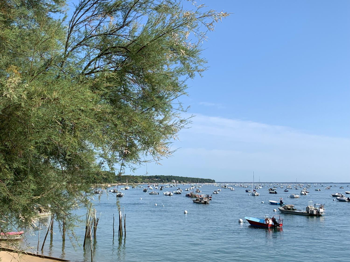 Others 3, Le Jardin 51, Gironde