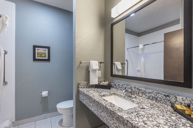 Bathroom 4, Best Western Plus Owensboro, Daviess