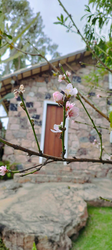 Others 2, Oforasteiro, Mucugê