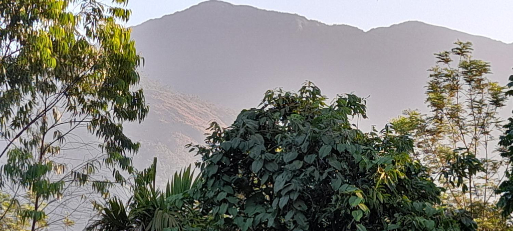 Others 5, Le Farmhouse Munnar, Idukki