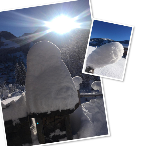 Others 5, BnB Forsterlodge, Sense