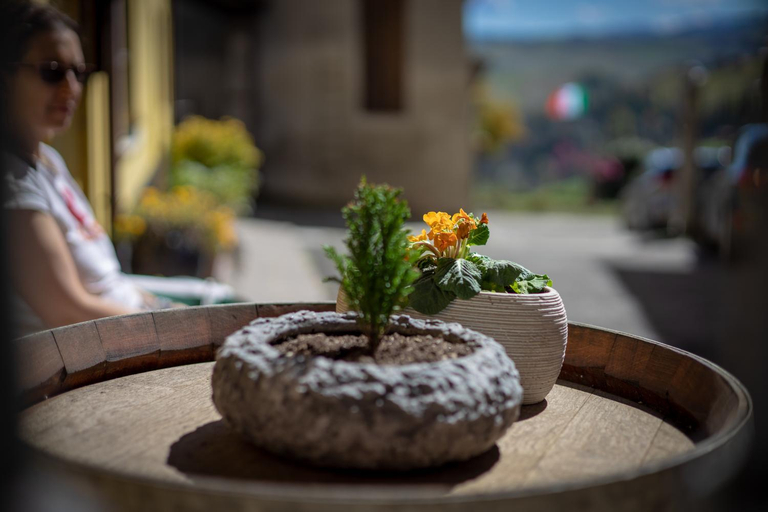 Food & Drinks 5, B&B LA MIMOSA E IL GELSOMINO, Pavia