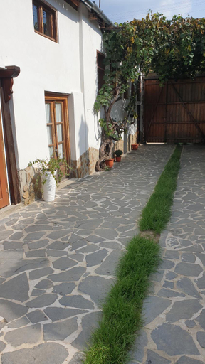 Others 5, Facilitati cazare Raluca, Bunesti
