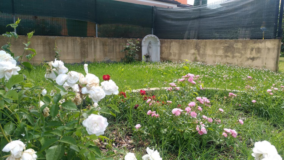 Others 4, Ca' Le Rose, Mantua