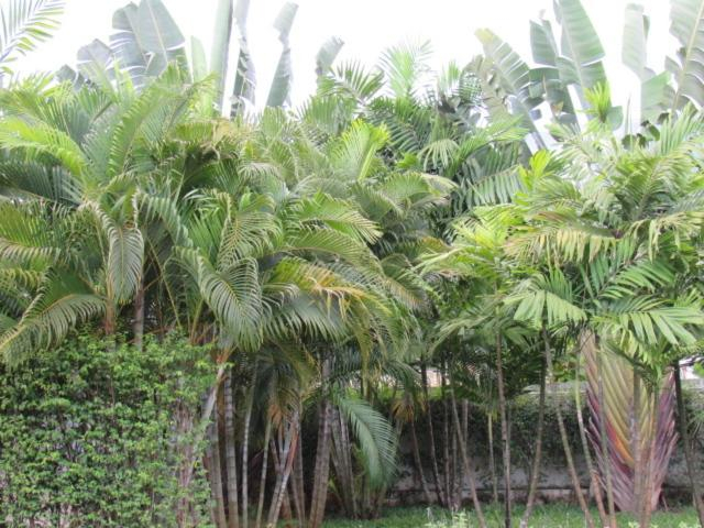 Others 4, B&B Forest Hill Khao Yai, Muang Prachin Buri