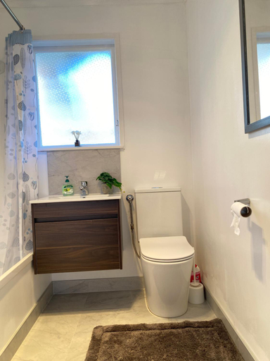 Bathroom 3, Ali Motel, Manukau