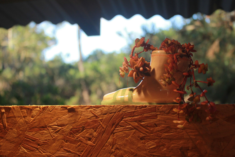 Others 4, La Templanza EcoGlamping Cultural, Rocha