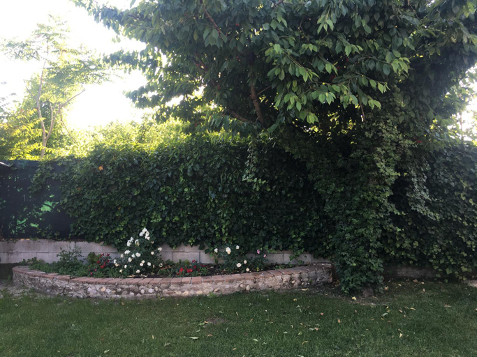 Others 5, Ca' Le Rose, Mantua