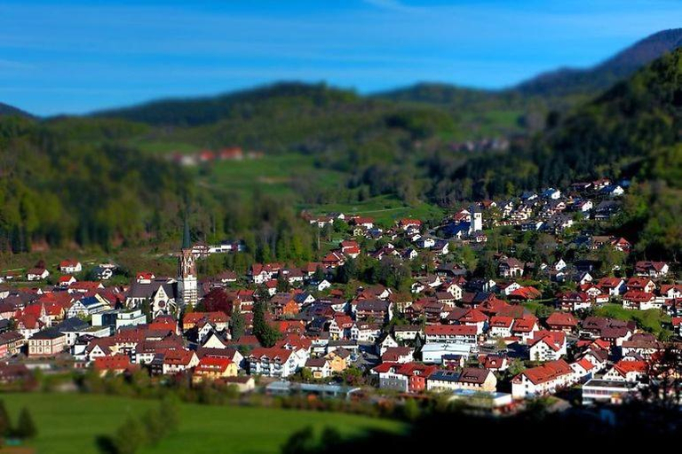 Others 5, Hotel Kirchbuhl im Schwarzwald Hotel, Lörrach