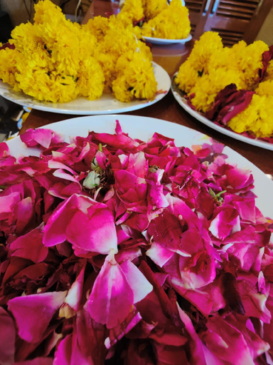 Food & Drinks, Hotel Bansuri Excellency, Jaisalmer