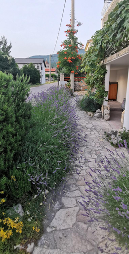 Others 2, Casa Lavanda 2 - Karin Gornji, Obrovac
