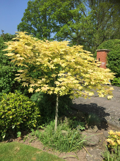 Others 5, Orchard Side Bed and Breakfast, Worcestershire